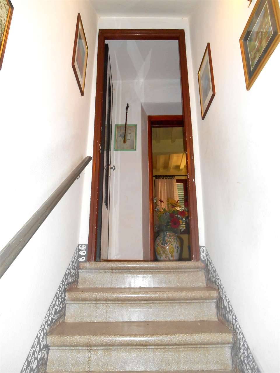  - foto 9