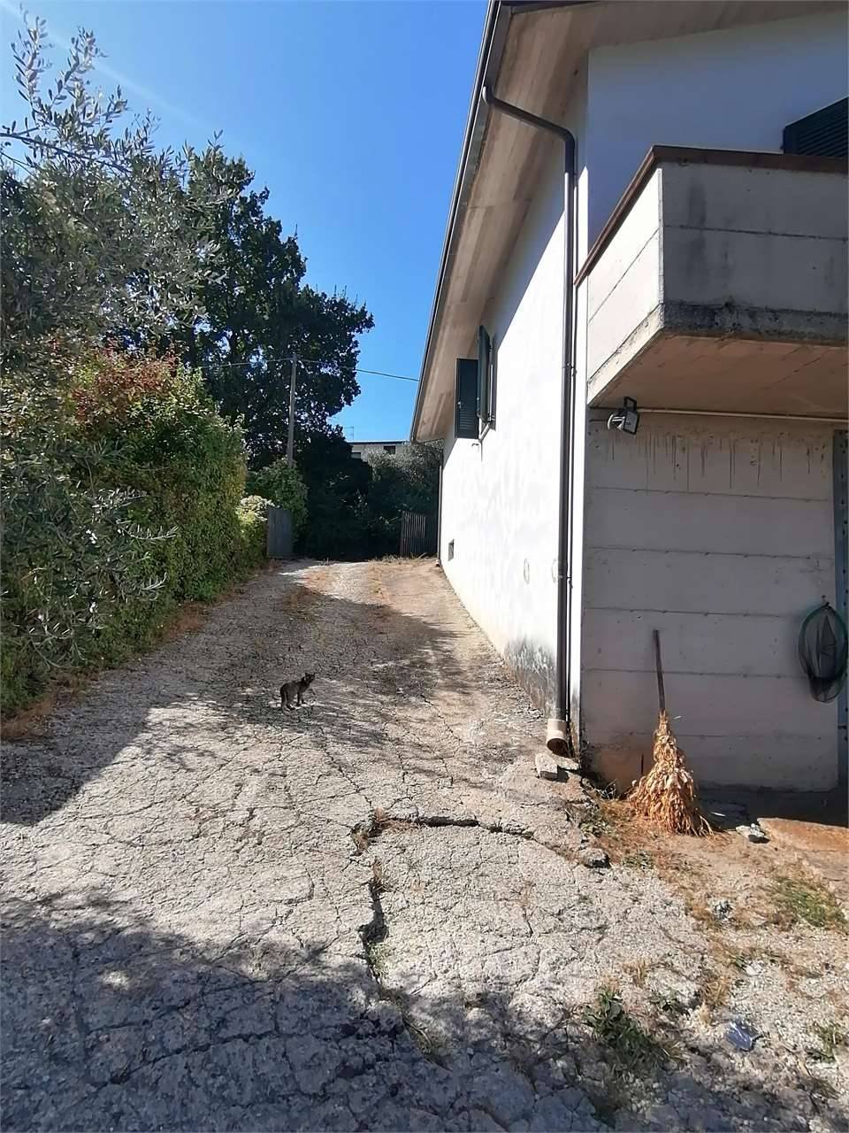  - foto 3