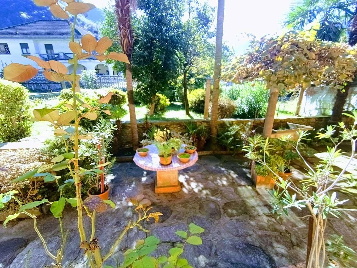  - foto 3