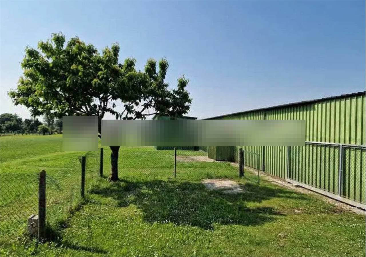  - foto 6