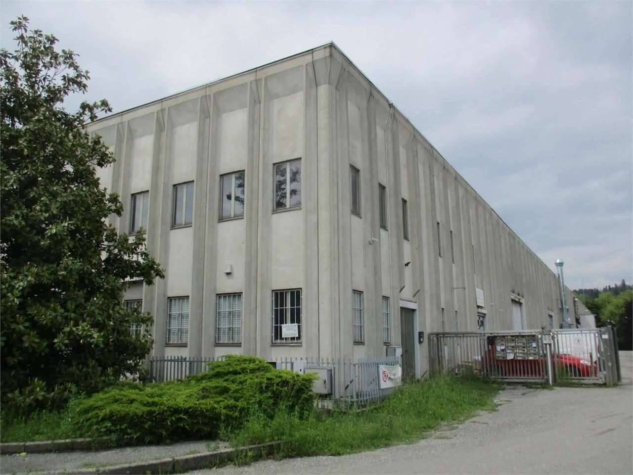 Capannone, Viganò