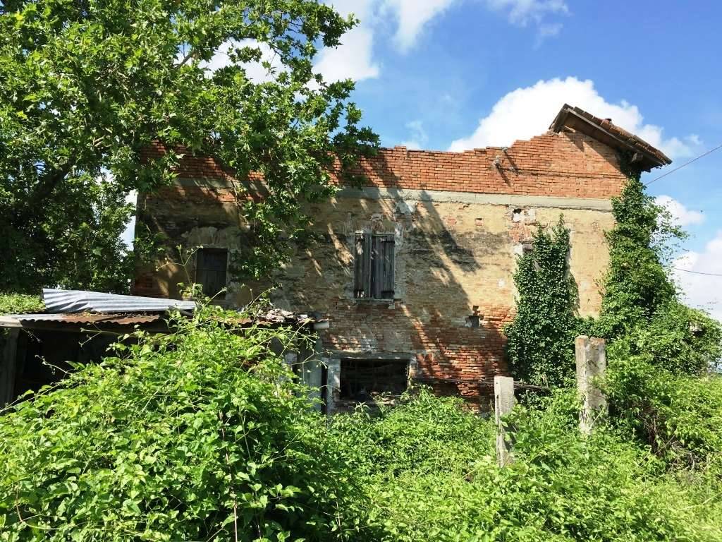 Rustico, Savignano sul Panaro