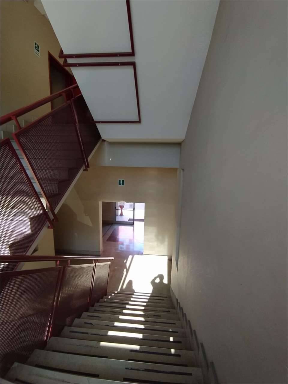  - foto 9