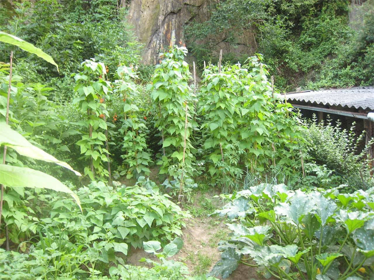  - foto 8