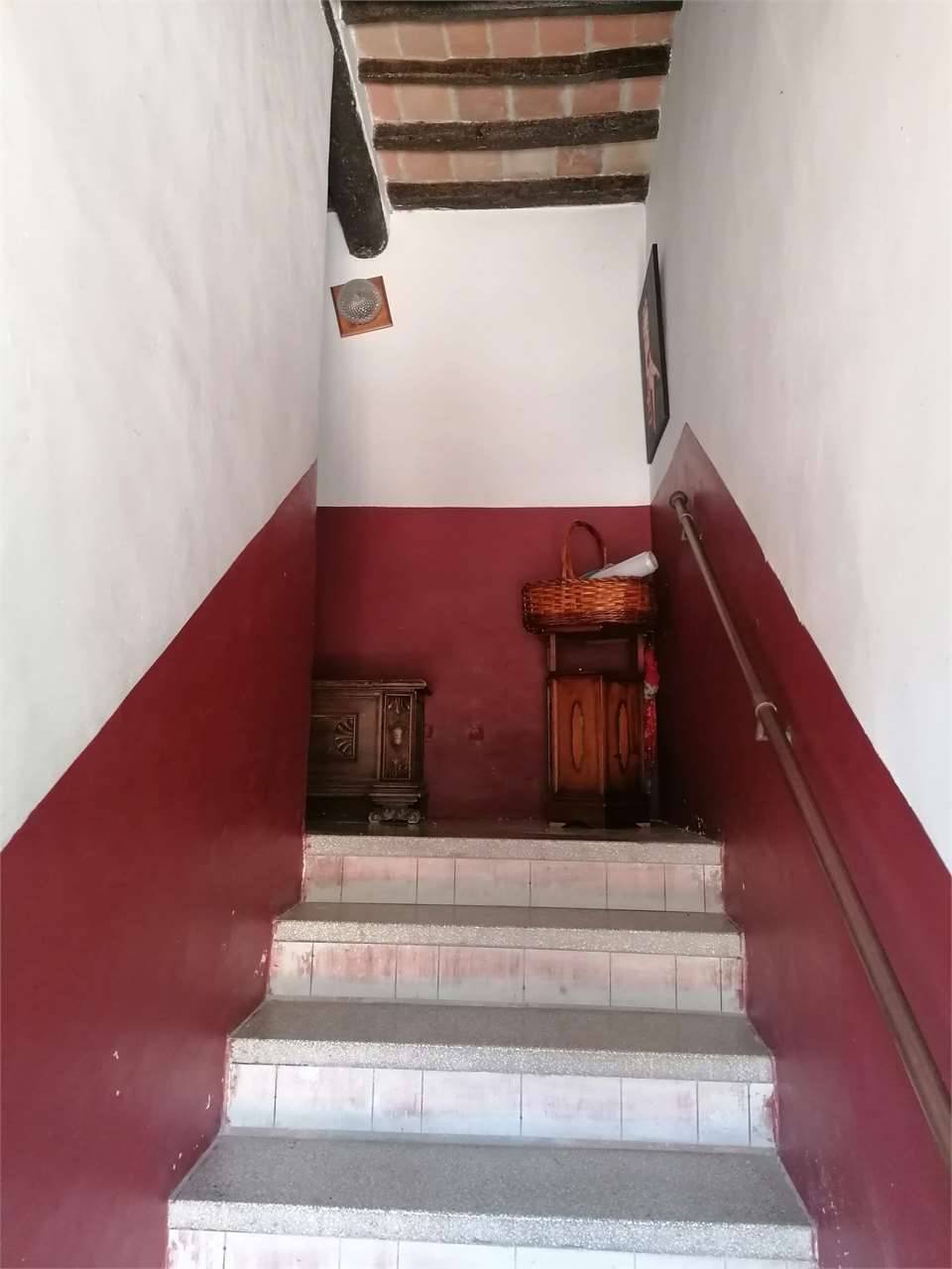  - foto 9