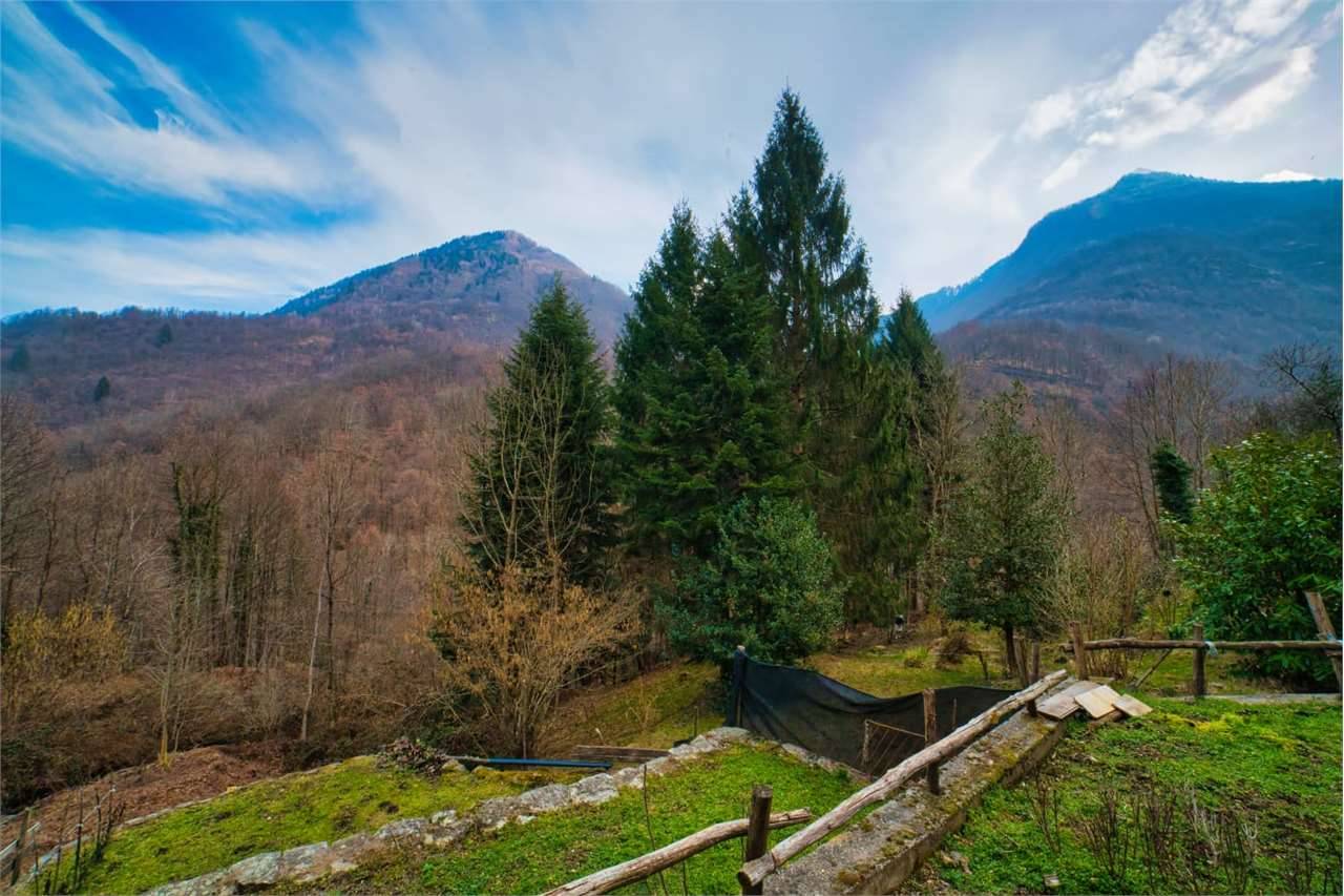  - foto 7
