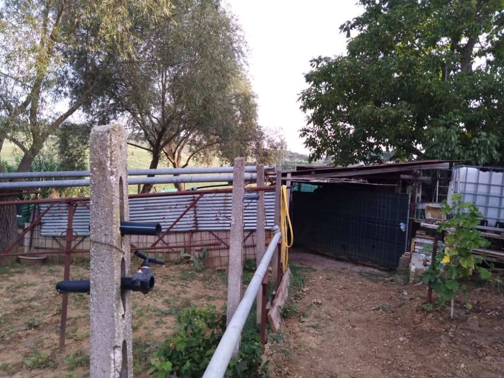  - foto 9