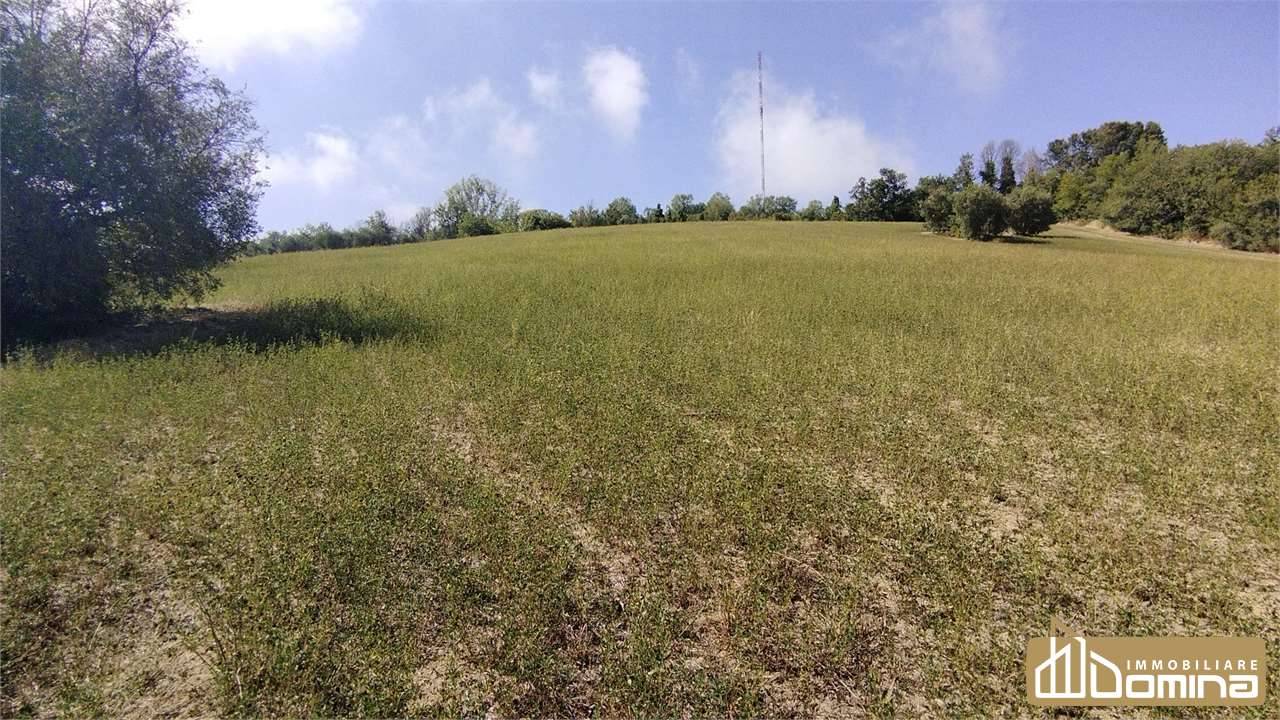 Terreno agricolo, Ancona
