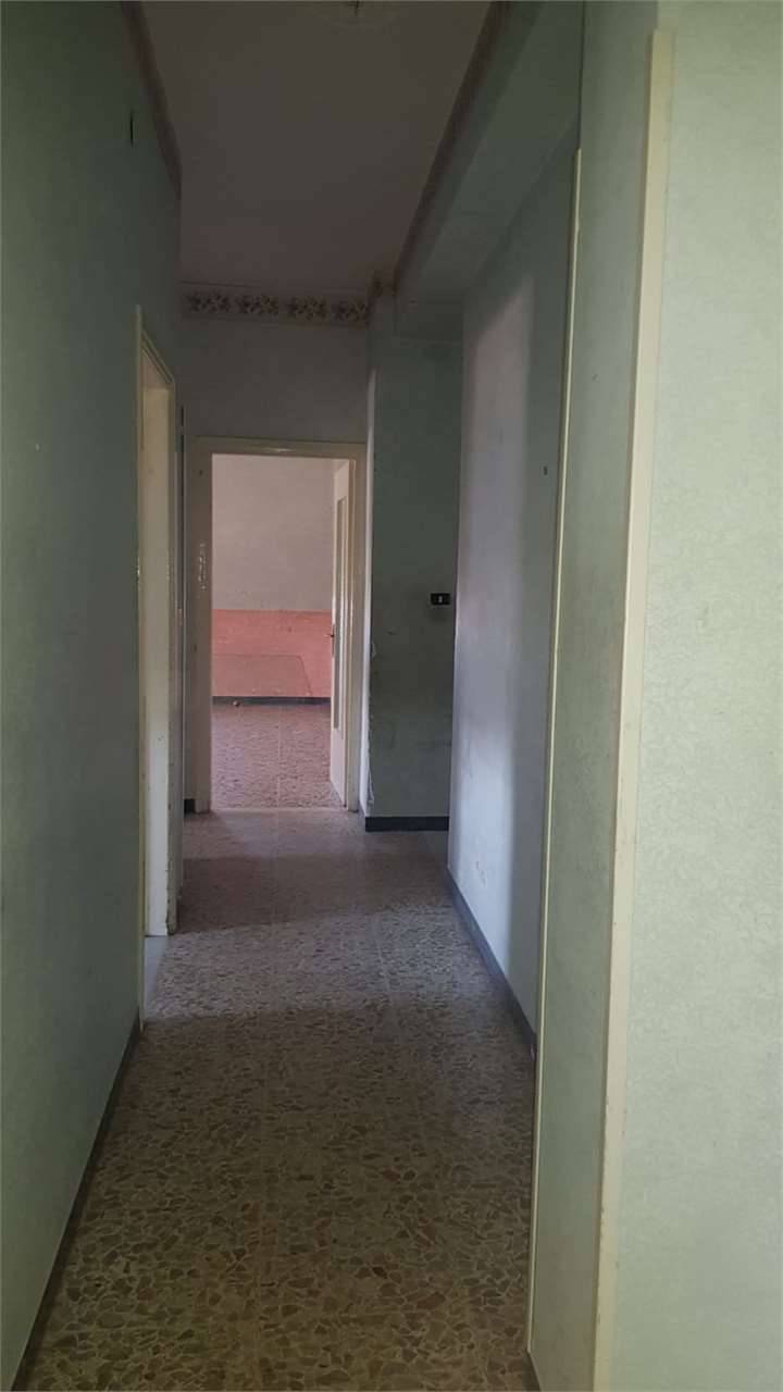  - foto 8