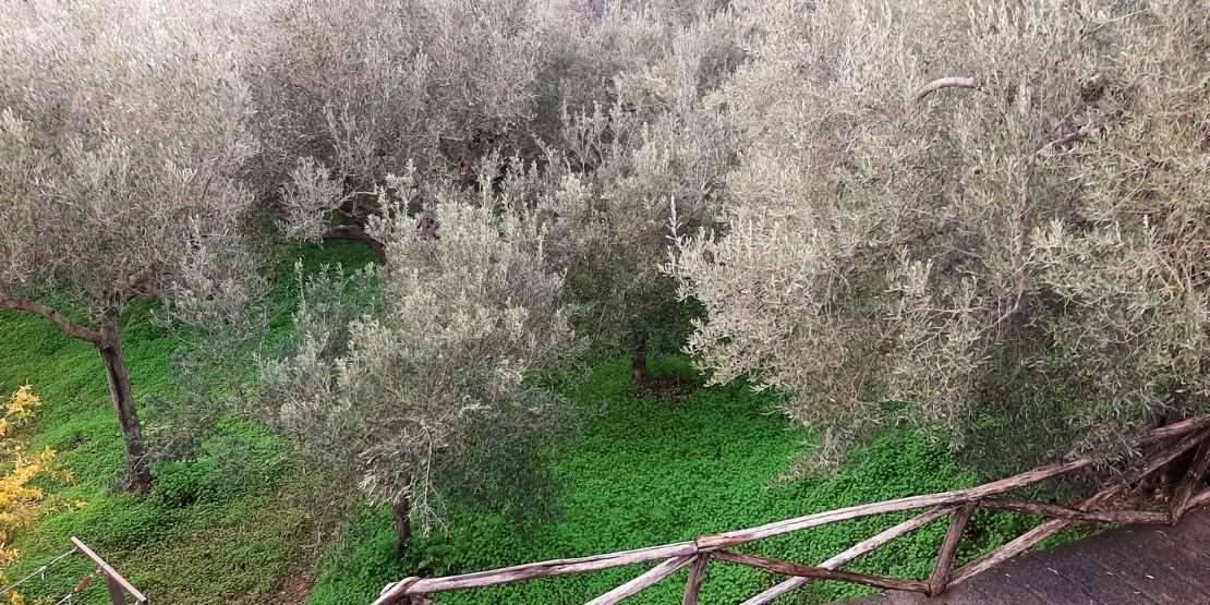  - foto 9