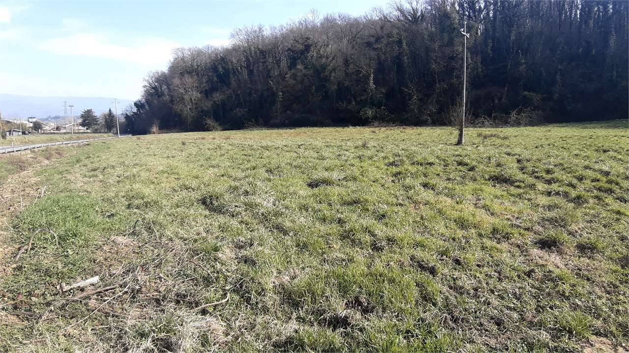 Terreno agricolo, San Giovanni Valdarno