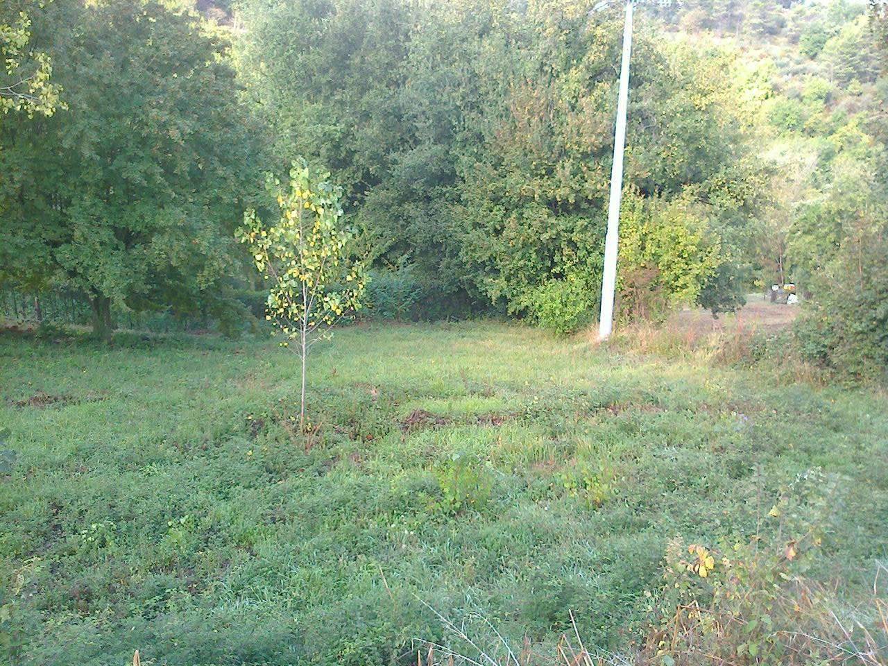  - foto 3