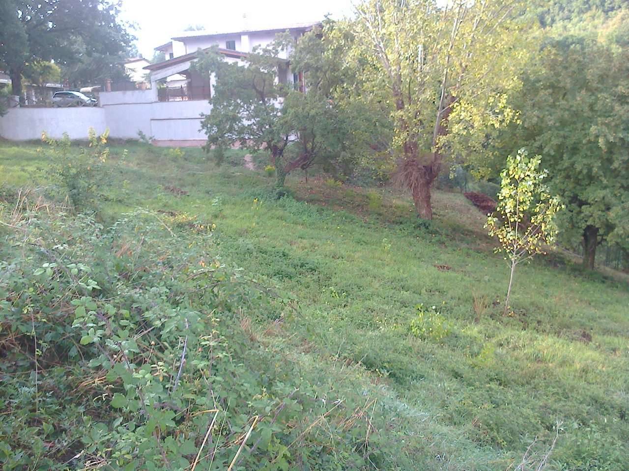  - foto 6