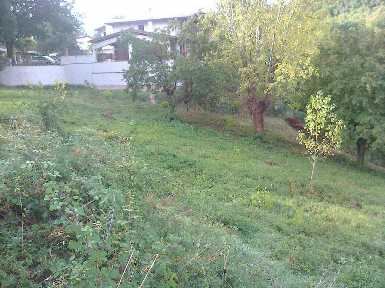  - foto 8
