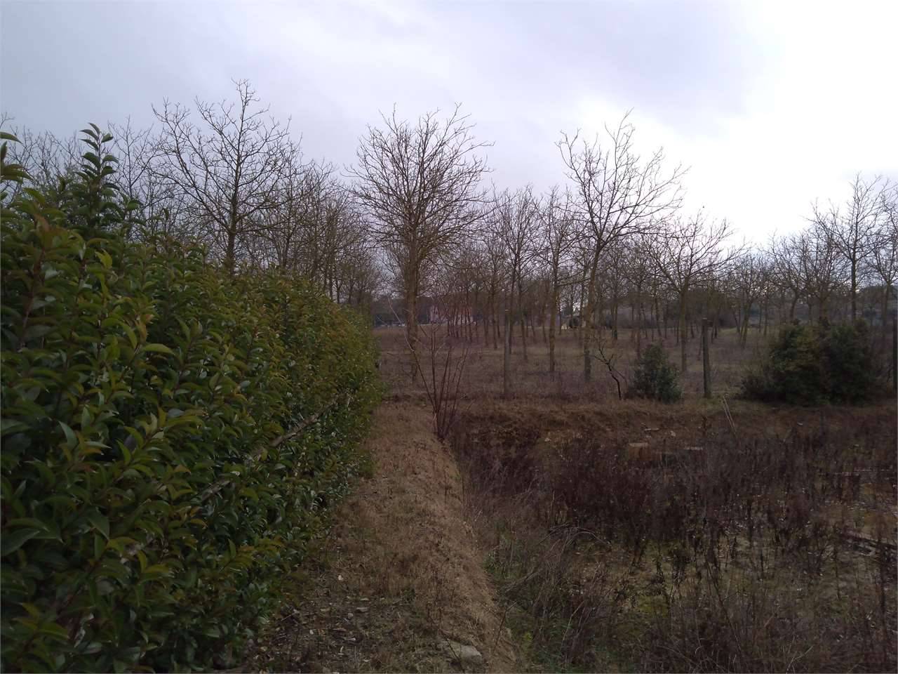  - foto 4
