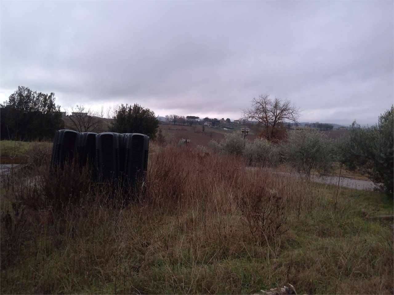  - foto 5