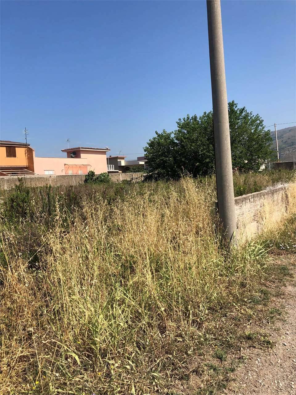  - foto 6
