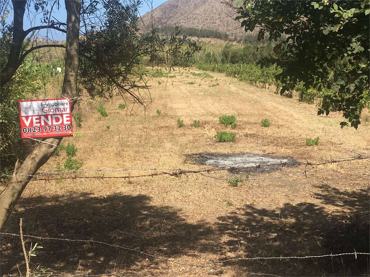 Terreno agricolo, Mondragone