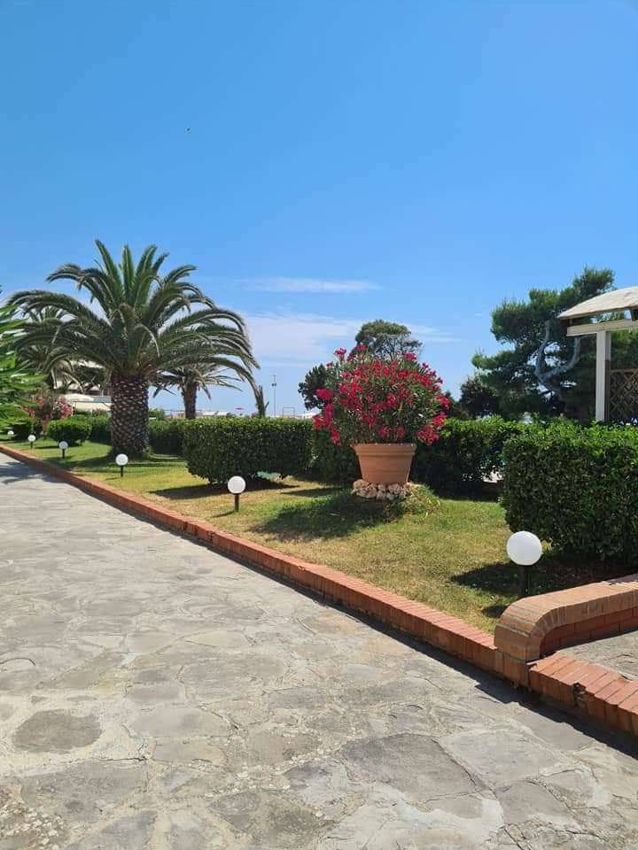  - foto 6