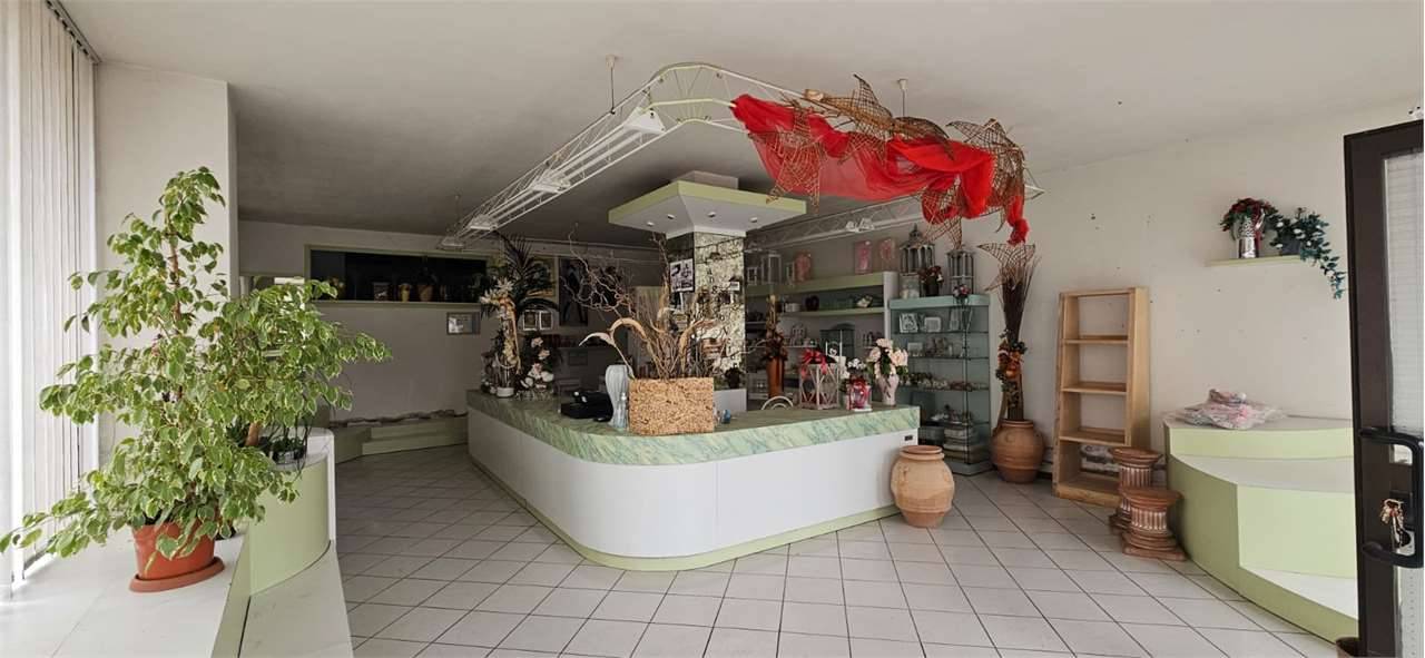  - foto 6