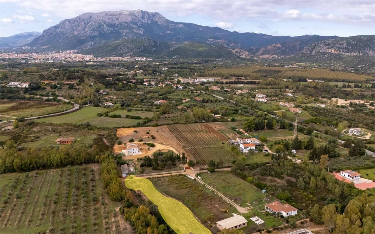 Terreno agricolo, Siniscola