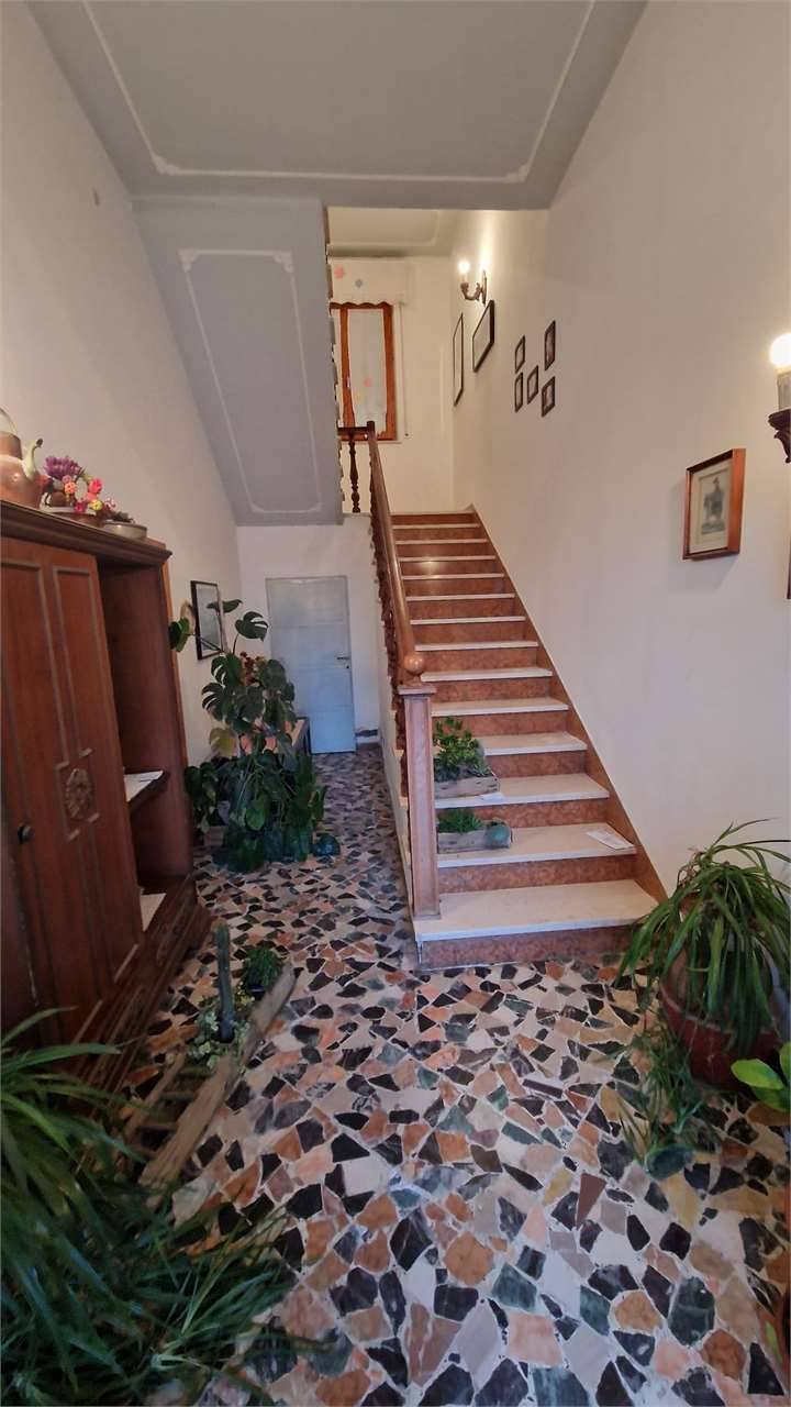  - foto 9