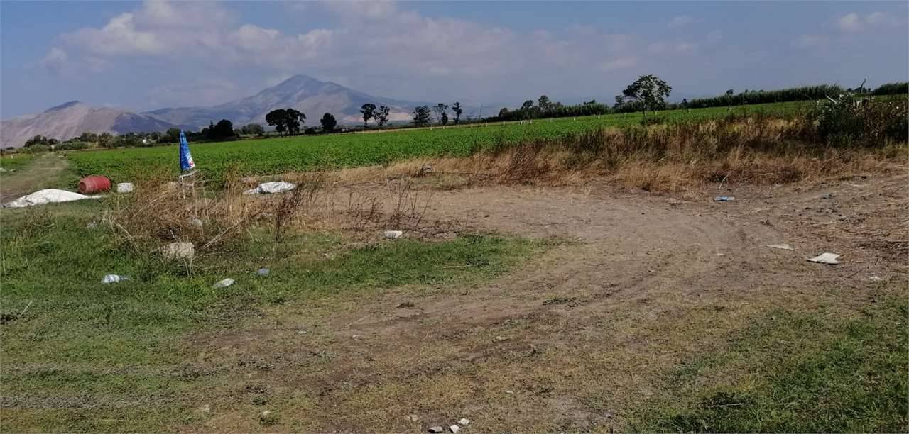 Terreno agricolo Pineta Nuova, Castel Volturno