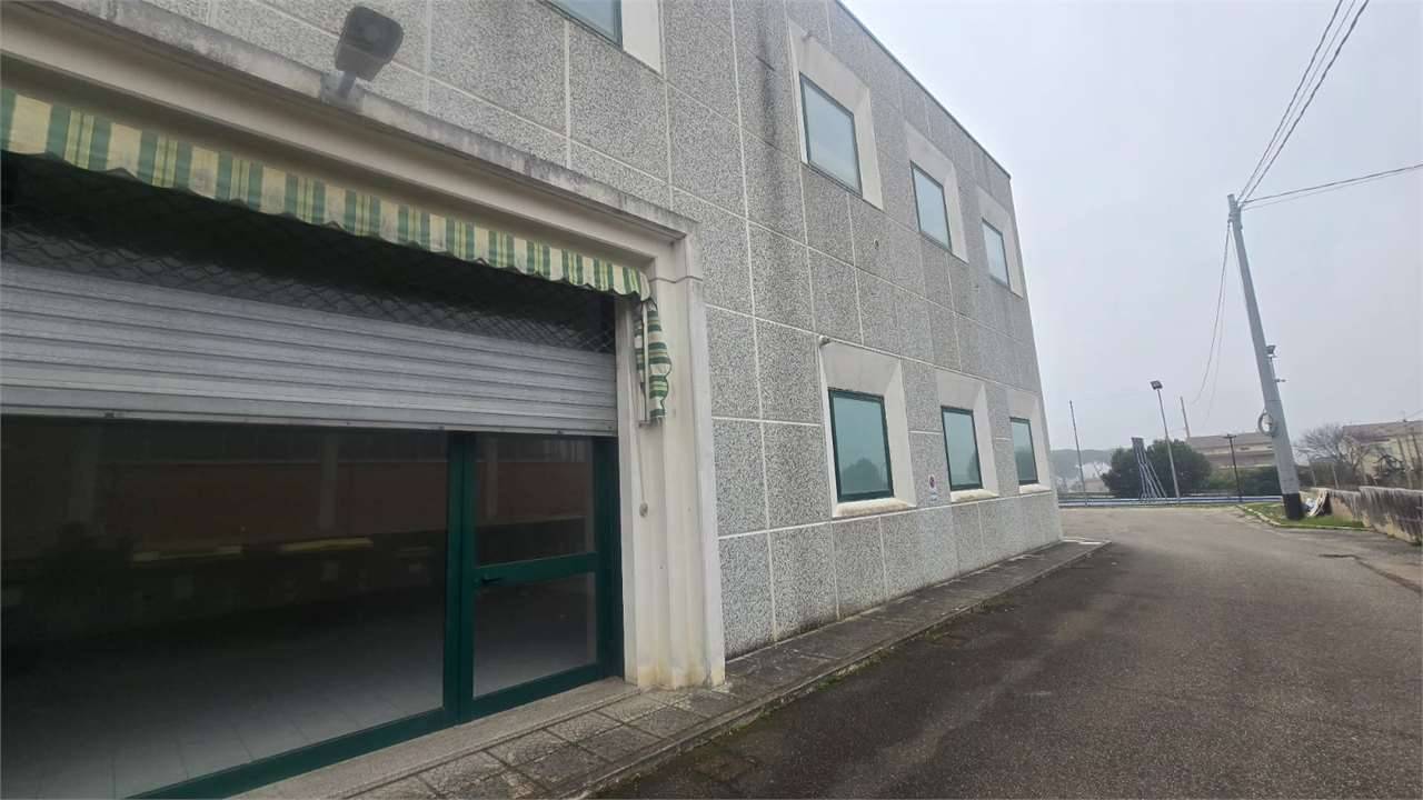  - foto 10