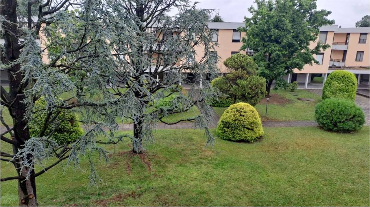  - foto 10