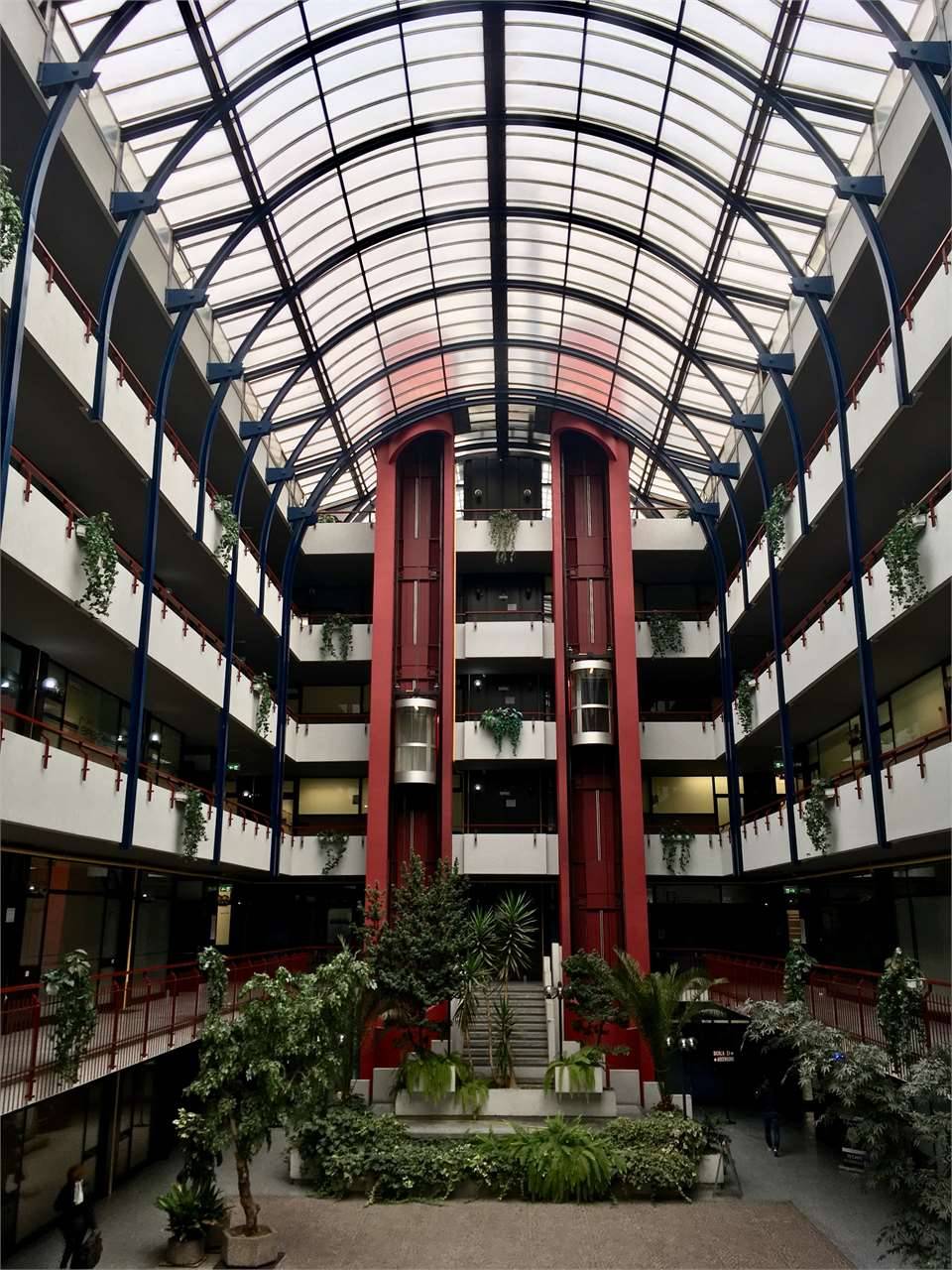  - foto 5