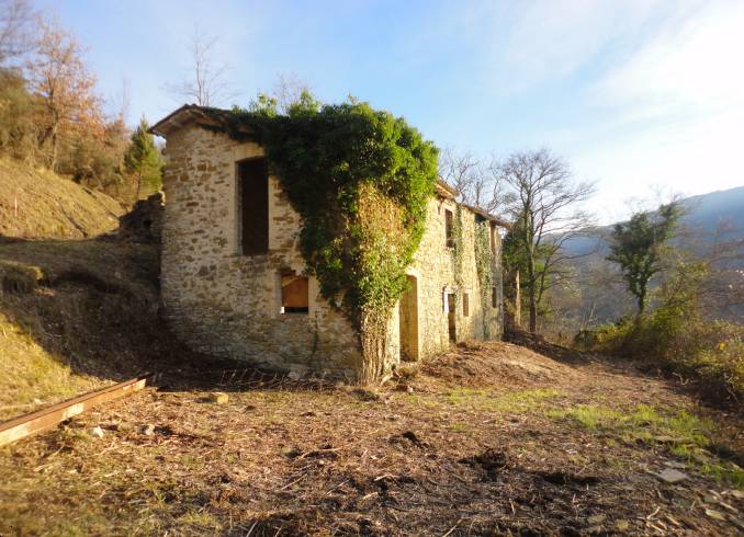 Rustico Armezzano, Assisi
