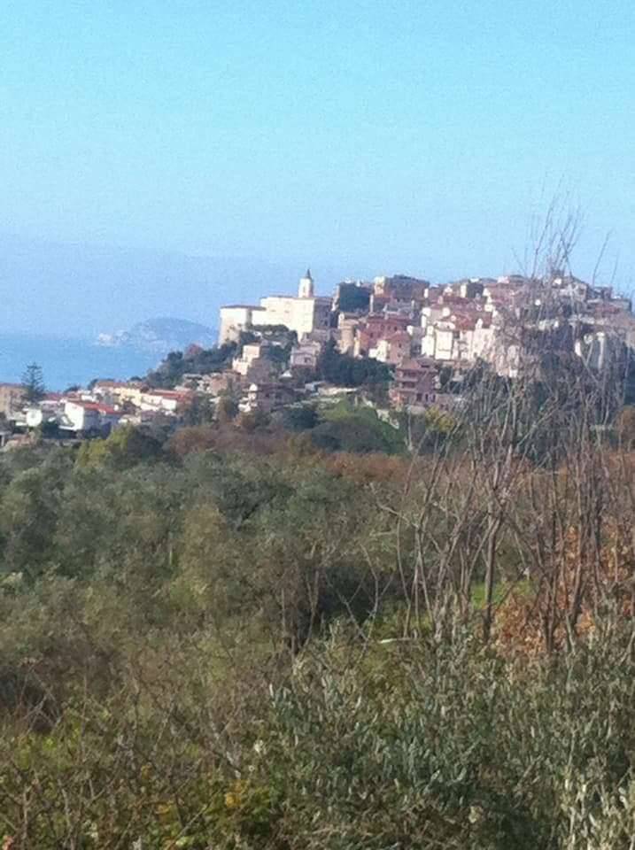  - foto 5