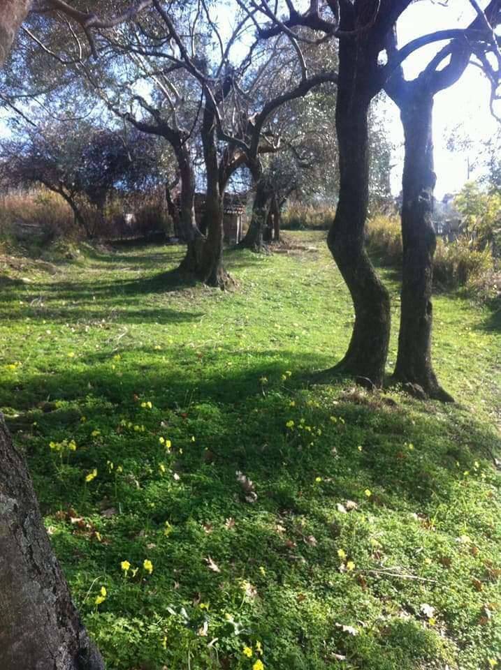  - foto 6