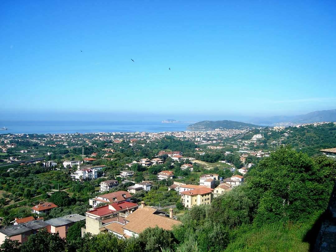  - foto 8