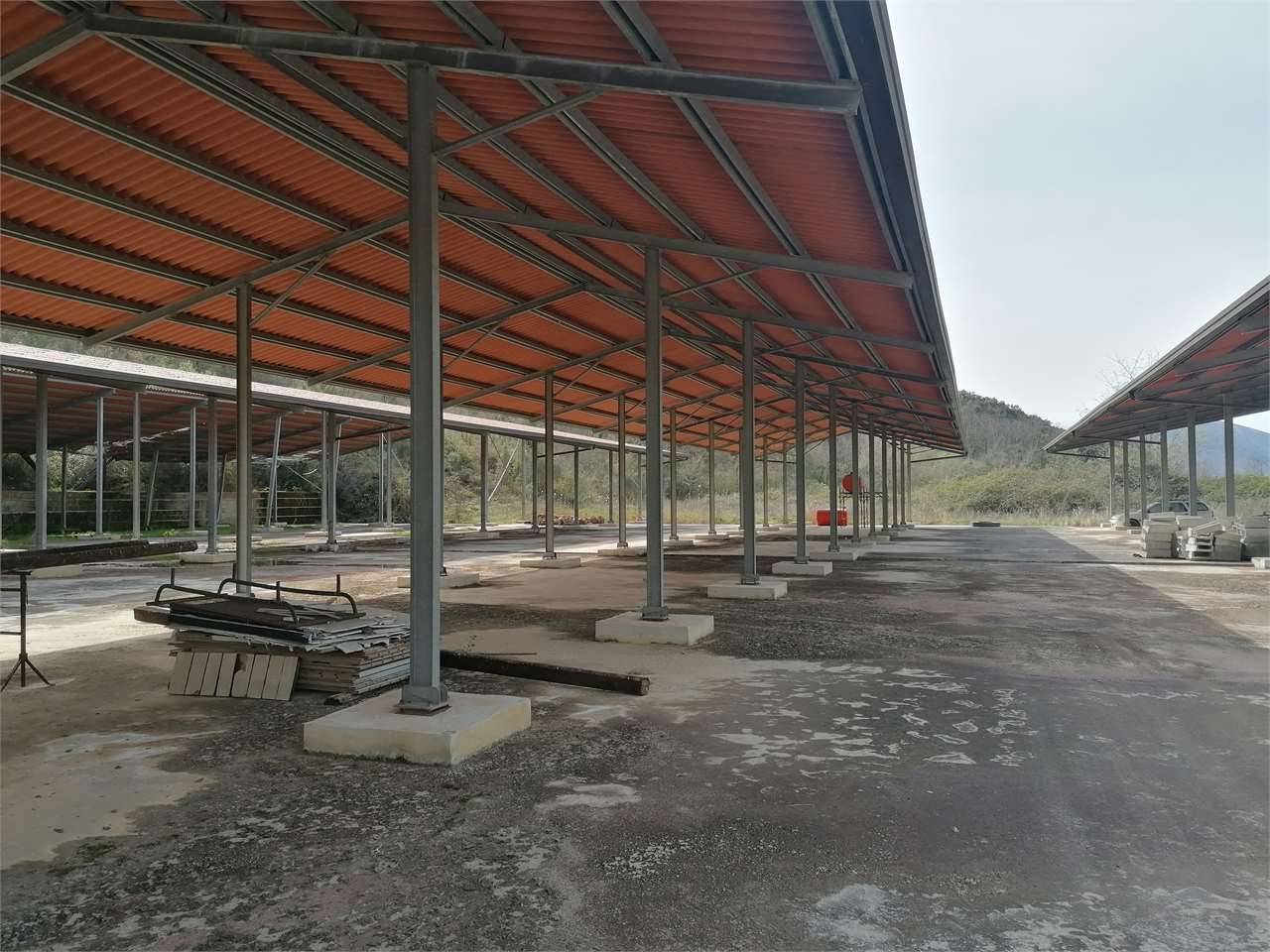 Azienda agricola, Caserta