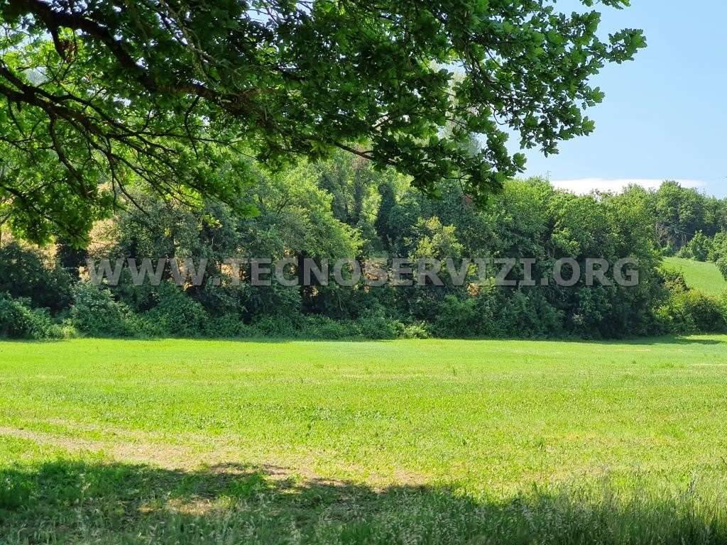 Terreno agricolo Garofano, Savignano sul Panaro