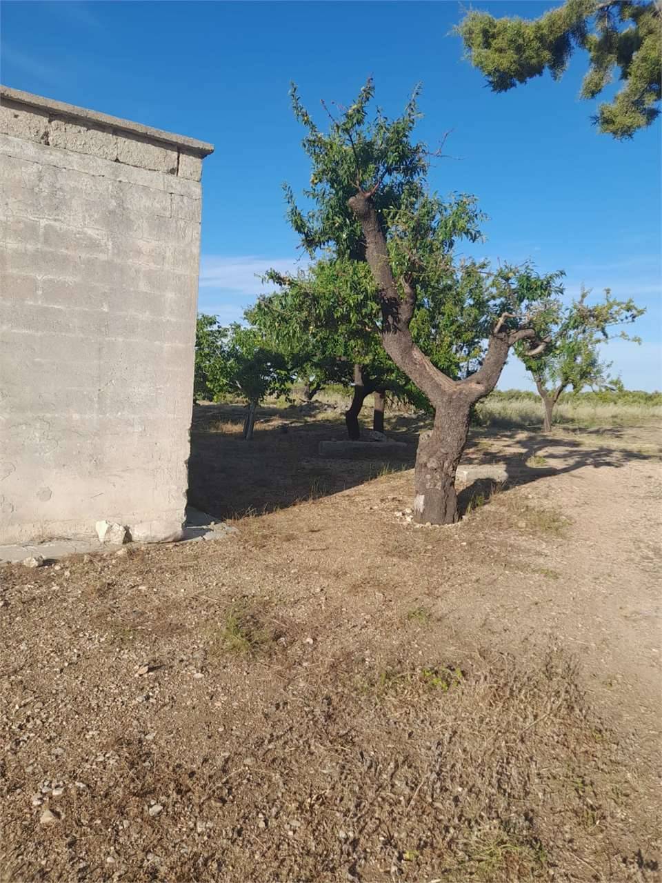  - foto 4