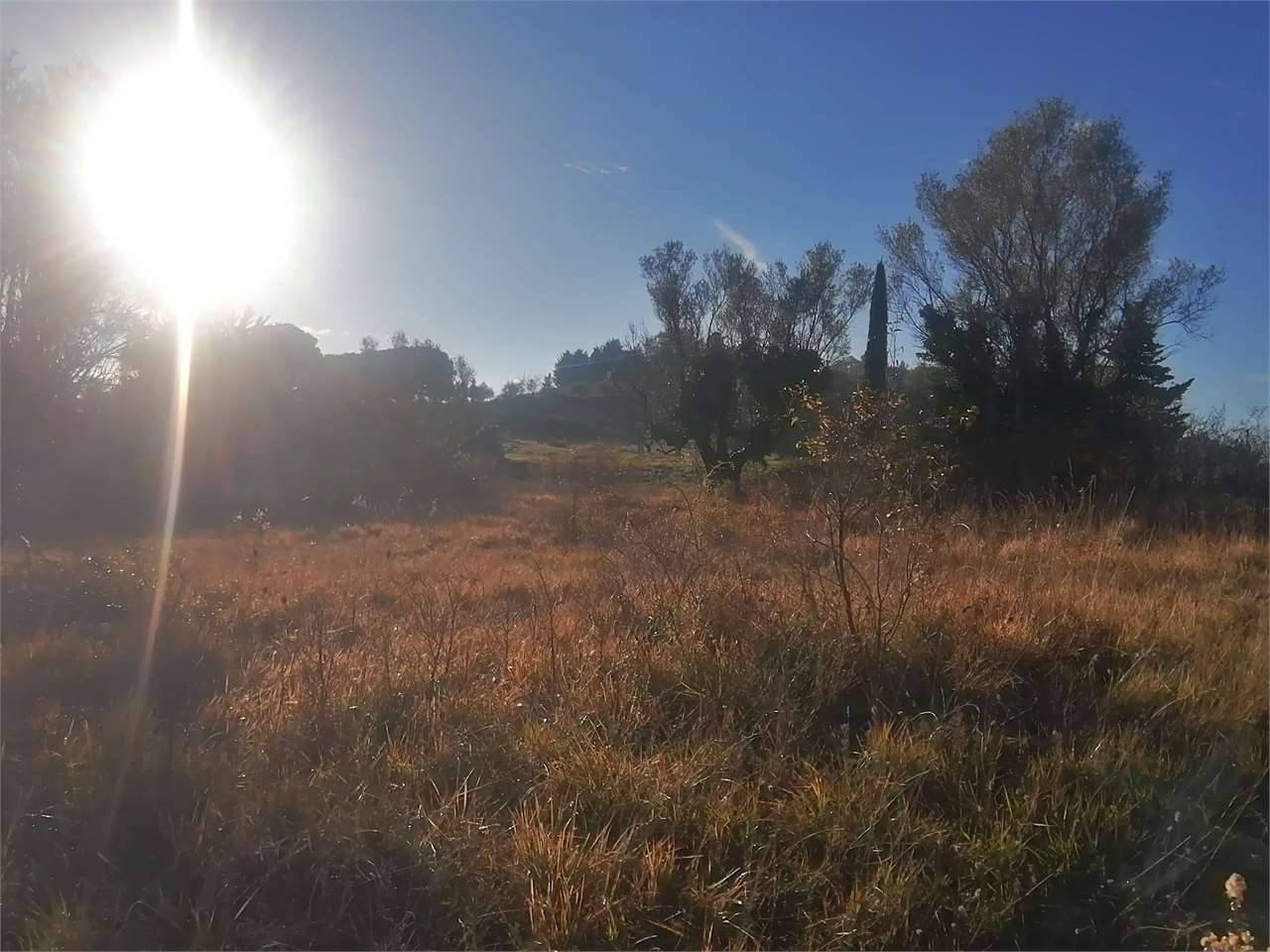  - foto 4