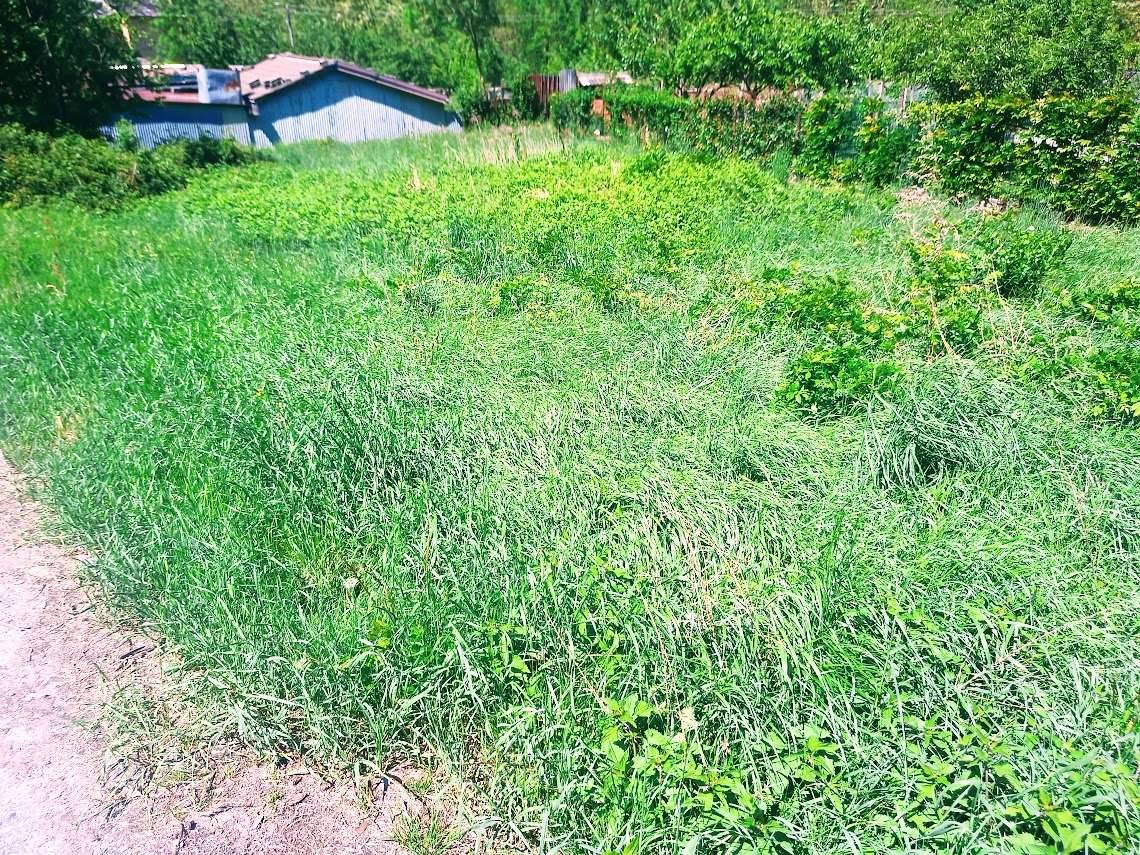  - foto 10