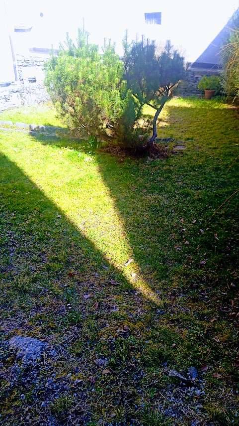  - foto 6