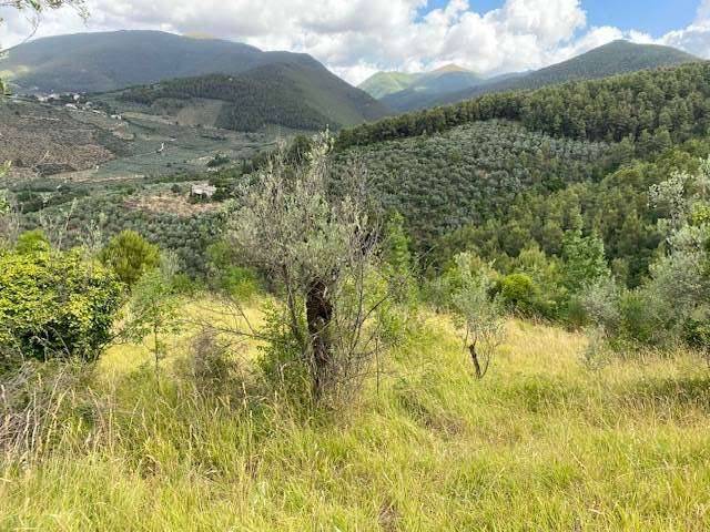 Terreno agricolo, Spoleto