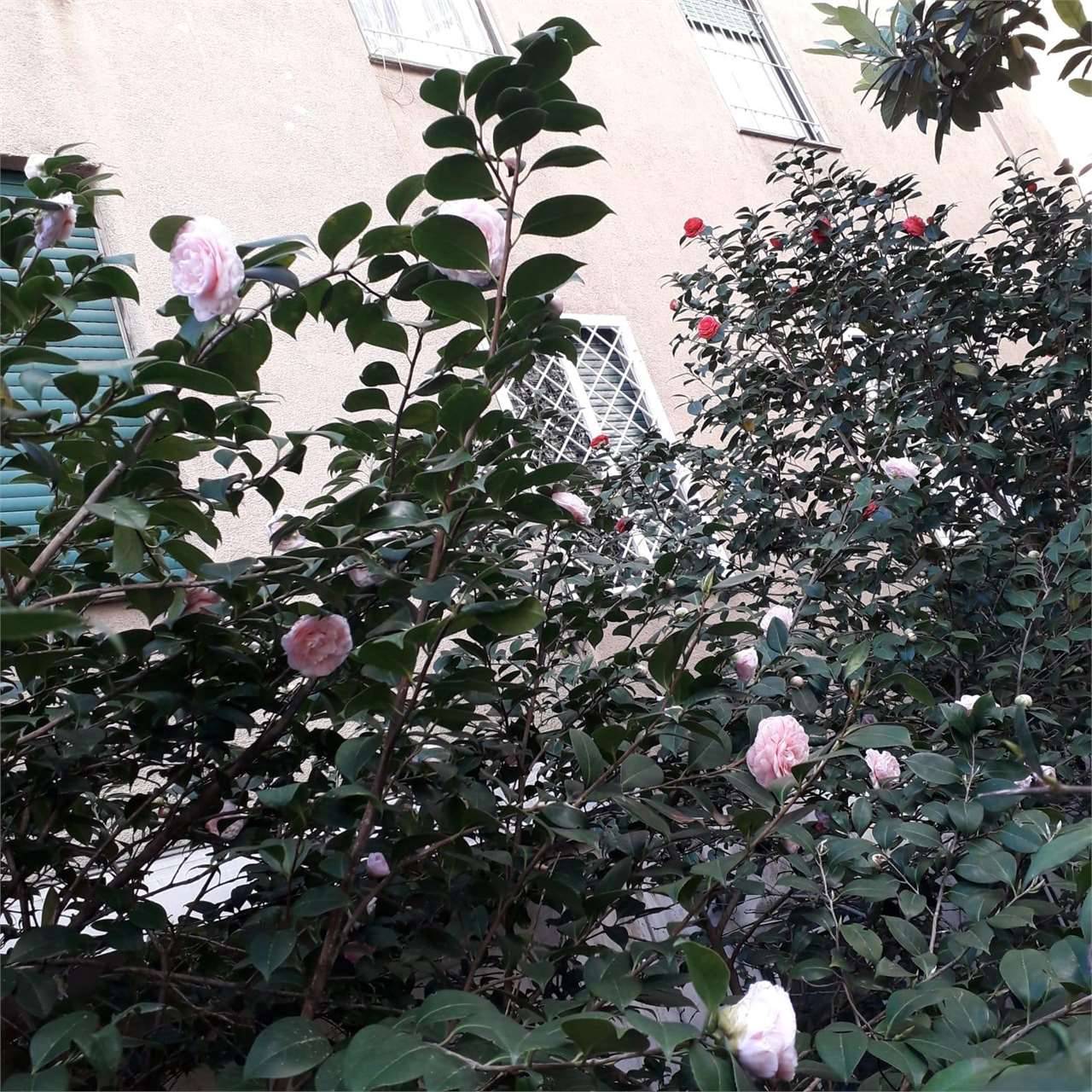  - foto 9