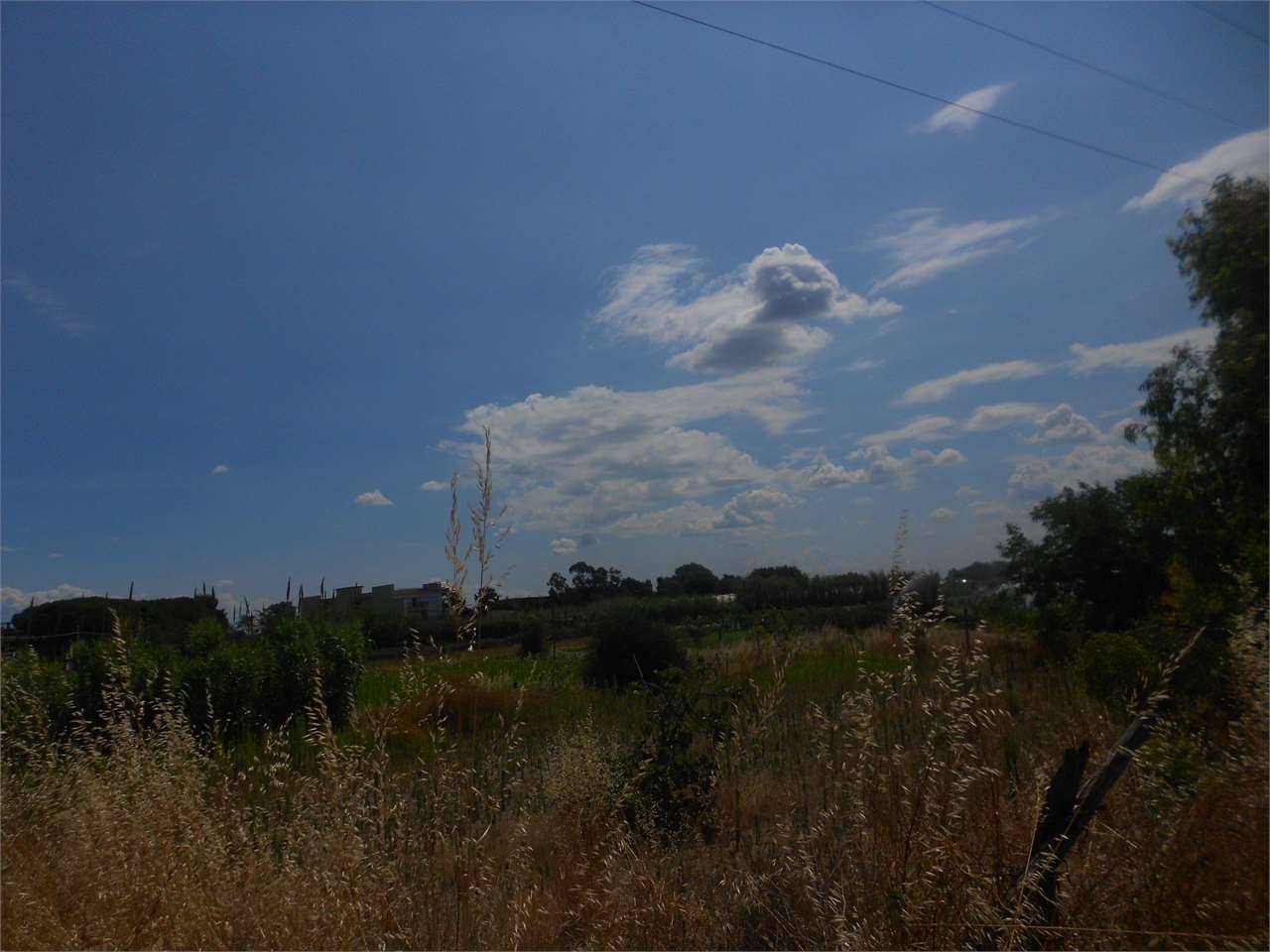 Terreno agricolo, Mondragone