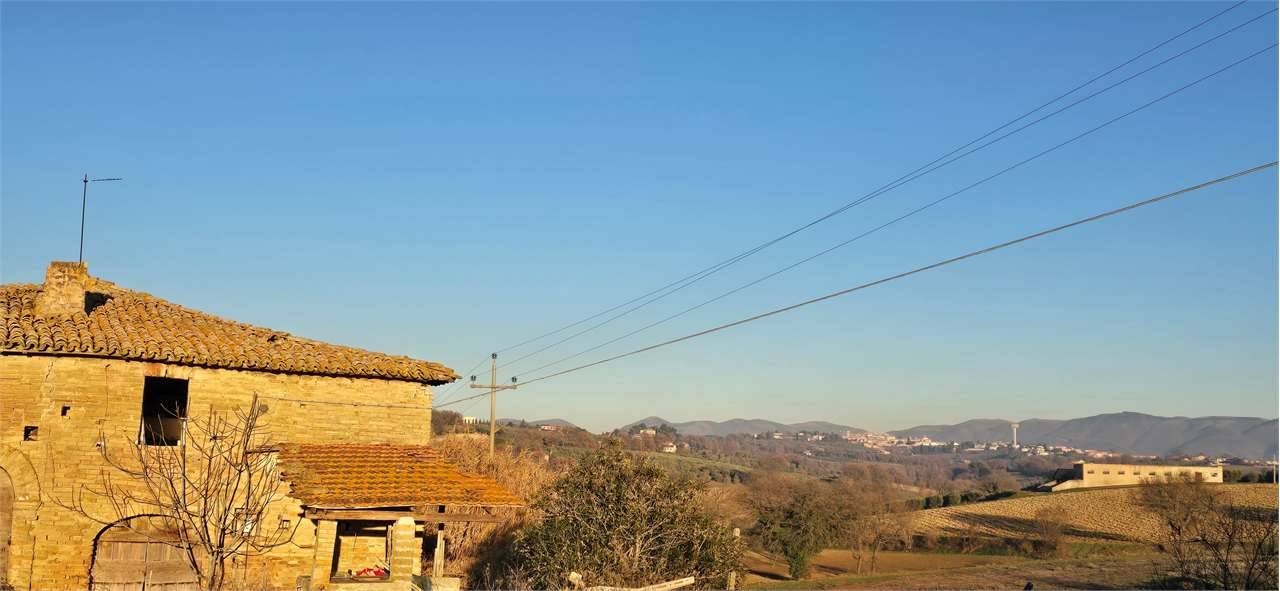  - foto 5
