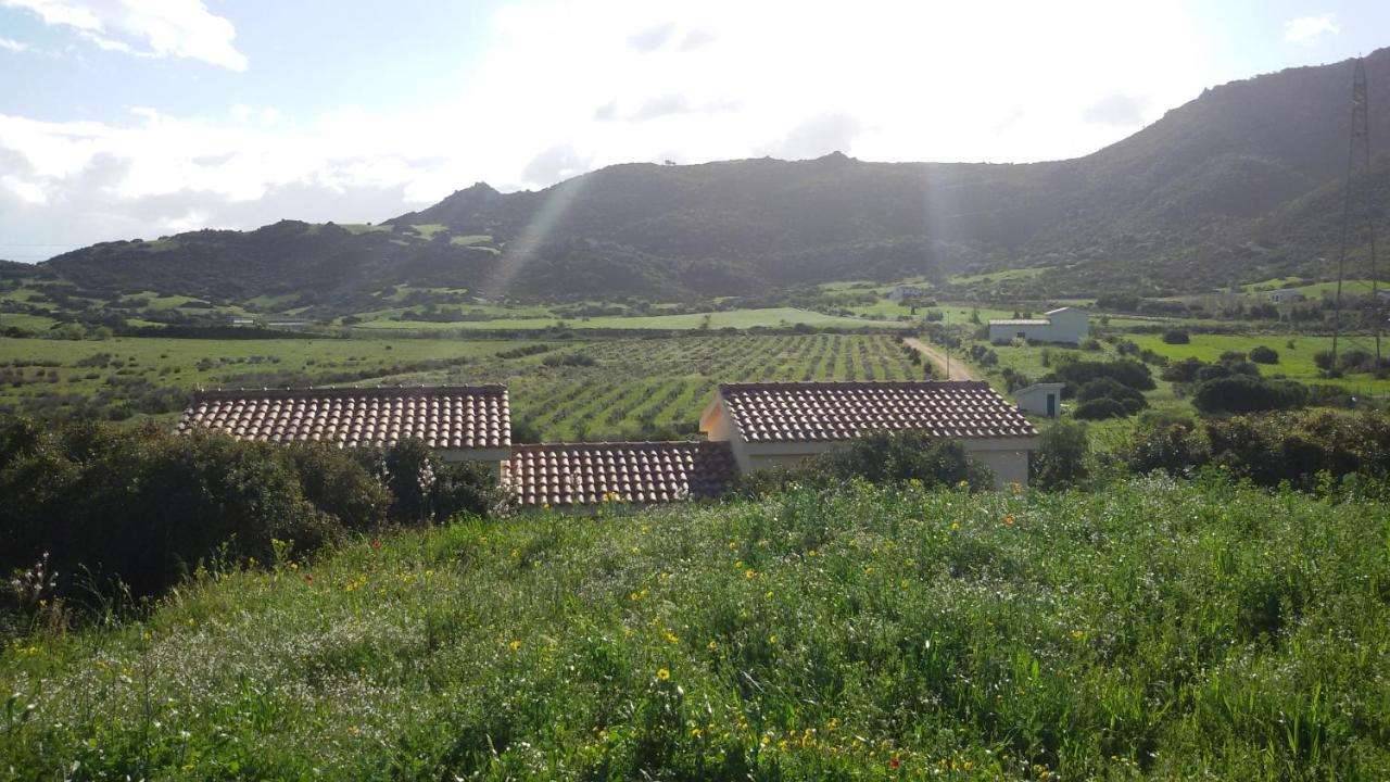  - foto 4