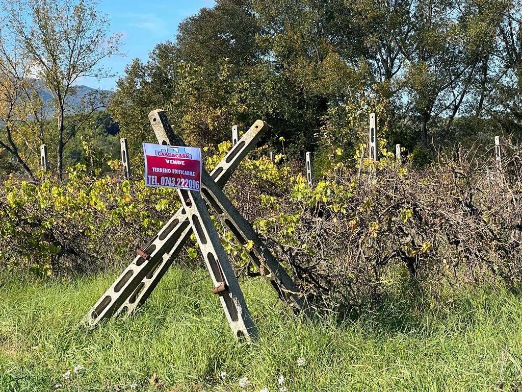  - foto 4