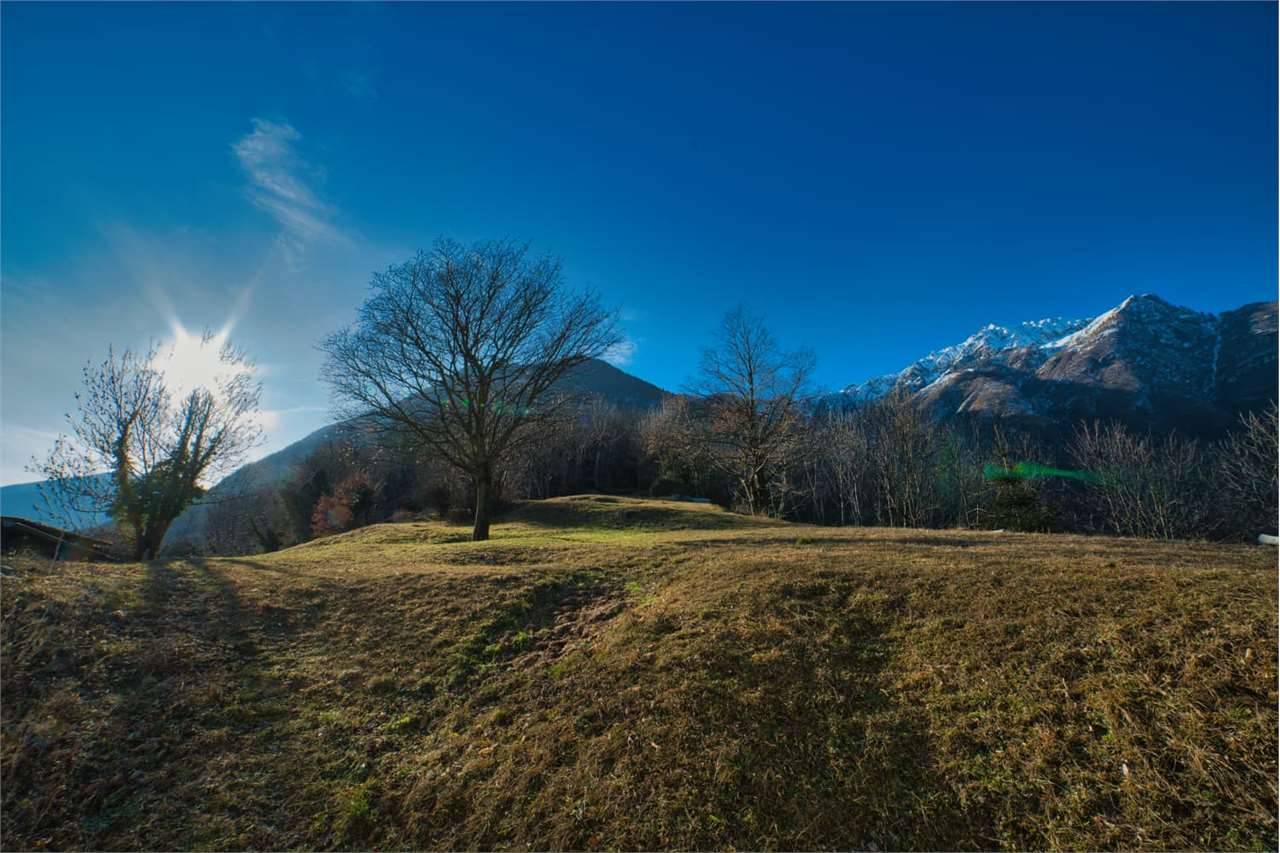  - foto 2