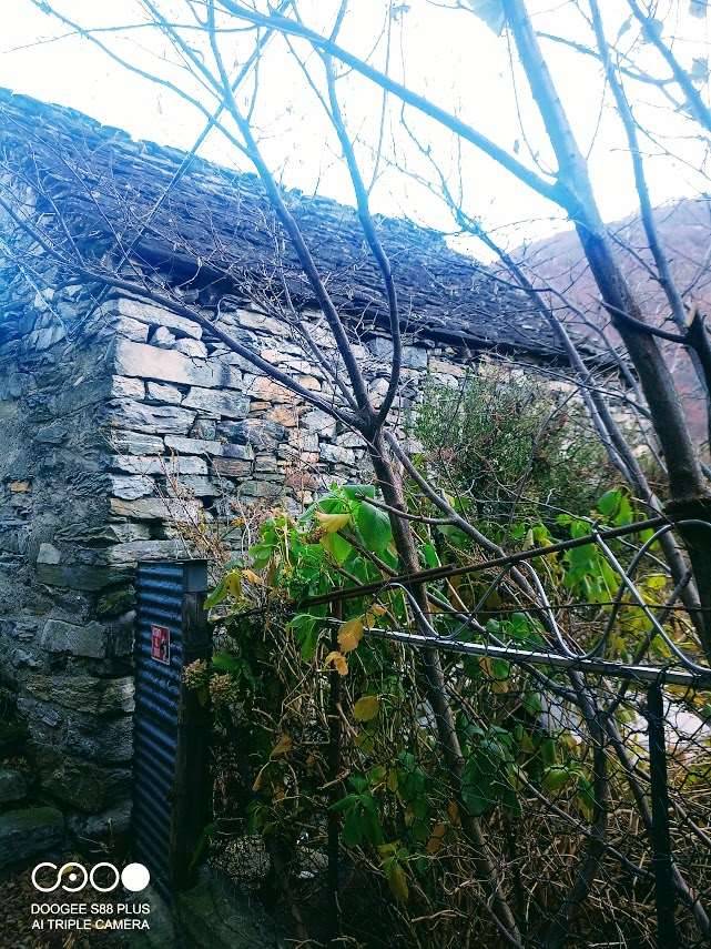  - foto 4