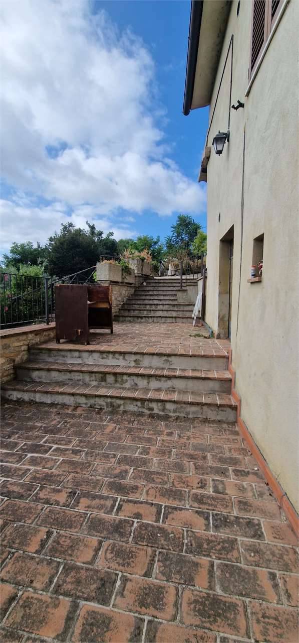  - foto 6
