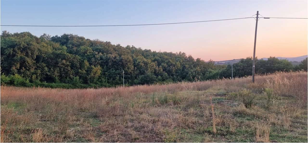 Terreno agricolo Mezzanelli, Massa Martana